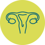 Female reproductive system icon